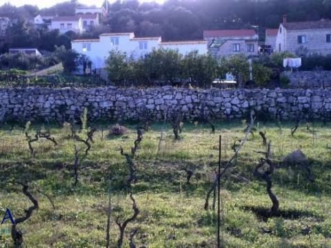 Korčula, Lumbarda kuća sa četiri apartmana