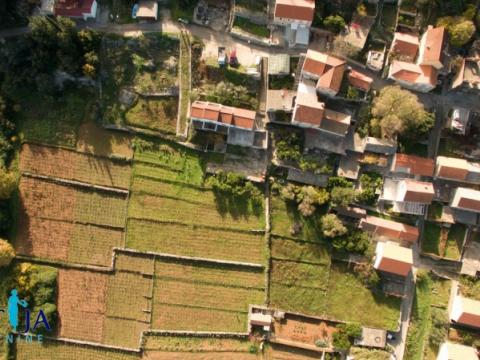 Korčula, Lumbarda kuća sa četiri apartmana