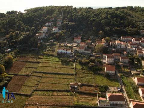 Korčula, Lumbarda kuća sa četiri apartmana