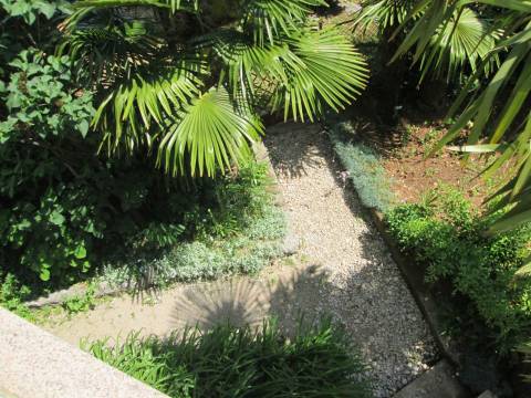 Opatija, Medveja, lijepa starina s velikom okućnicom