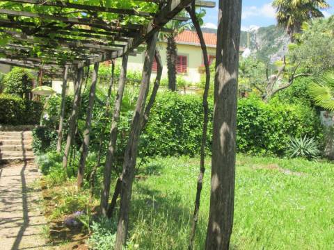 Opatija, Medveja, lijepa starina s velikom okućnicom