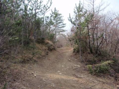 Pazin-okolica , 4834  m2 zemljište u građevinskoj zoni