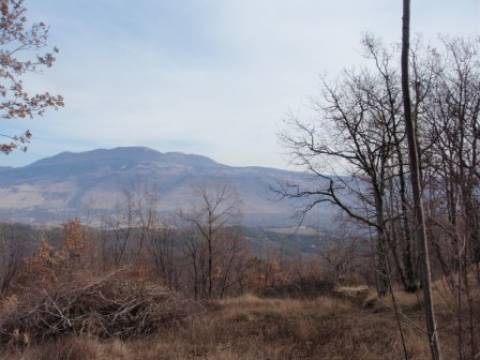 Pazin-okolica , 4834  m2 zemljište u građevinskoj zoni