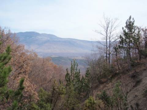 Pazin-okolica , 4834  m2 zemljište u građevinskoj zoni