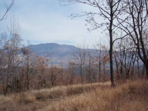 Pazin-okolica , 4834  m2 zemljište u građevinskoj zoni