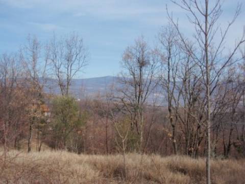 Pazin-okolica , 4834  m2 zemljište u građevinskoj zoni
