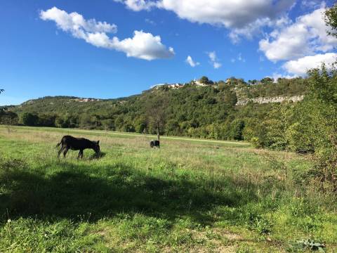 Predivno imanje u Istri