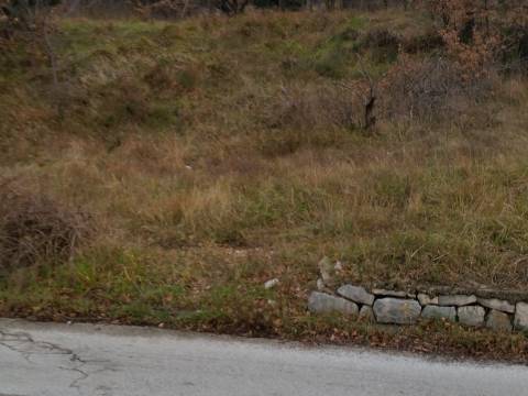 Bribir građevinsko zemljište 650 m2
