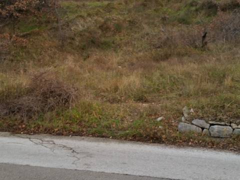 Bribir građevinsko zemljište 650 m2