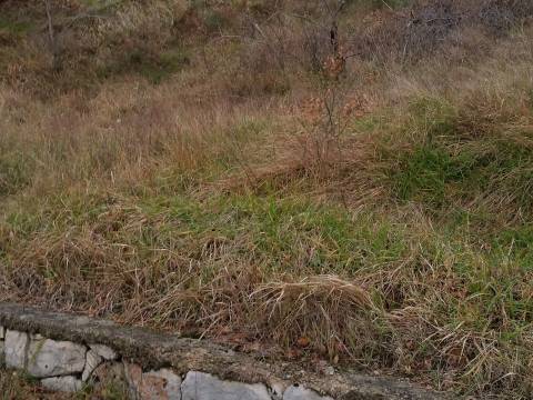 Bribir građevinsko zemljište 650 m2