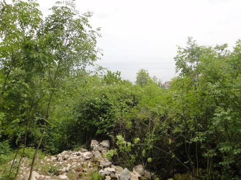 Imanje sa starinom te pomoćnim objektom na području Opatijske rivijere