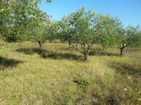 Poreč Špadići građevinsko zemljište 1383 m2