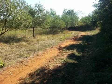 Poreč Špadići građevinsko zemljište 1383 m2