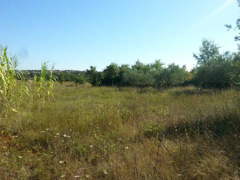 Poreč Špadići građevinsko zemljište 1383 m2