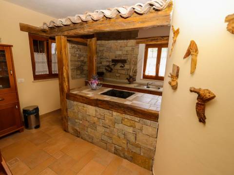 Case Grdoselo, Pazin - Okolica, 400m2