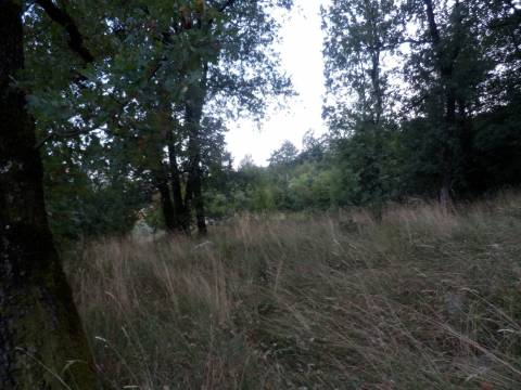 Poljane građevinsko zemljište 