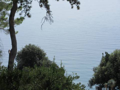 Opatija-Volosko elitna lokacija - gospodski stan u vili do mora