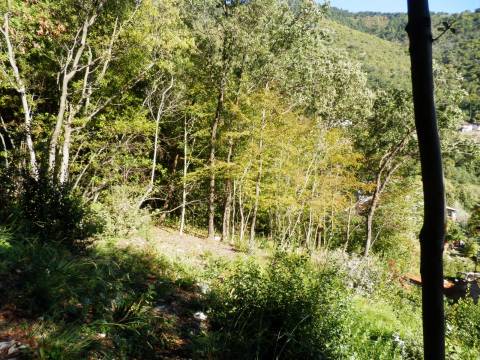 Terreno Mošćenička Draga, 815m2