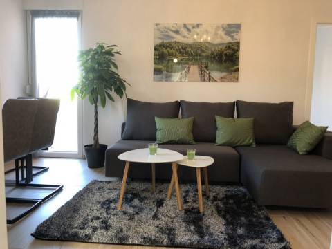 Luksuzna apartmanska kuća s uhodanim poslom. 