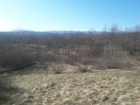 Lands Kastav, 2.530m2