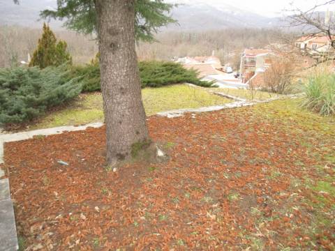 Matulji, okolica, samostojeća kuća s vlastitom spiljom