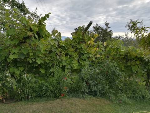 Tuheljske Toplice kuća 180 m2 i voćnjak 2400 m2