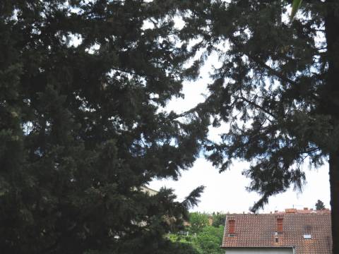 Flats Opatija - Centar, Opatija, 86,49m2
