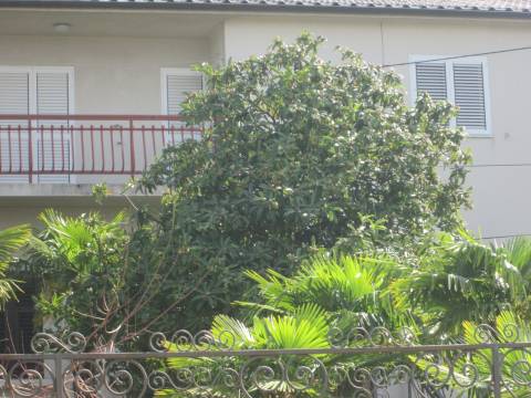 Case Kozala, Rijeka, 280m2