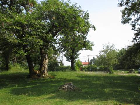 Dobreć građevinsko zemljište 2740 m2