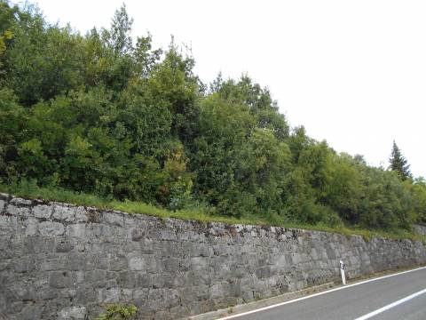 Terreno Mošćenička Draga, 989m2