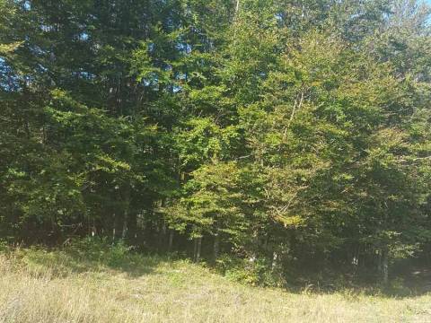 Lands Bribir, Vinodolska Općina, 13.000m2