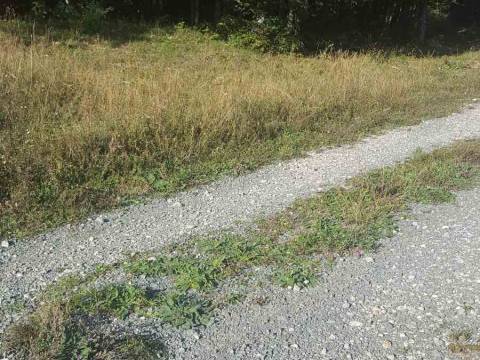 Lands Bribir, Vinodolska Općina, 13.000m2