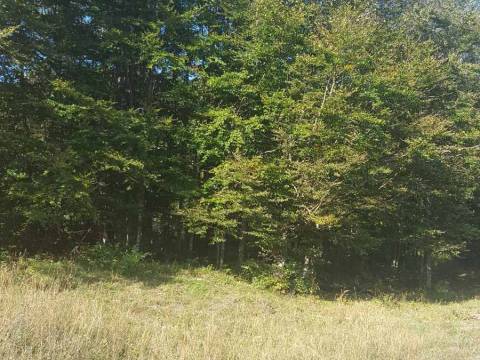 Lands Bribir, Vinodolska Općina, 13.000m2