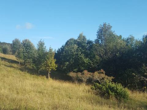Lands Bribir, Vinodolska Općina, 13.000m2