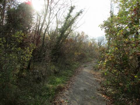 Lands Martinkovac, Rijeka, 1.650m2
