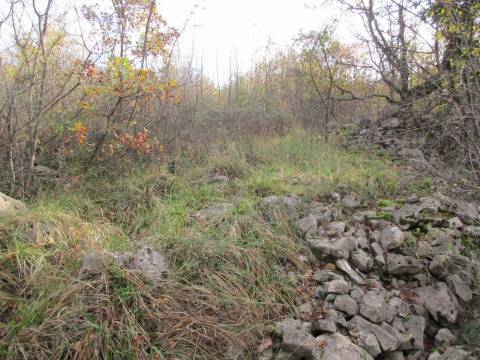 Lands Martinkovac, Rijeka, 1.650m2