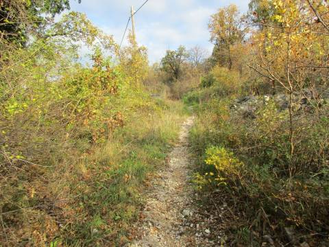 Lands Martinkovac, Rijeka, 1.650m2