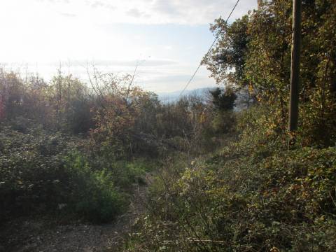 Lands Martinkovac, Rijeka, 1.650m2