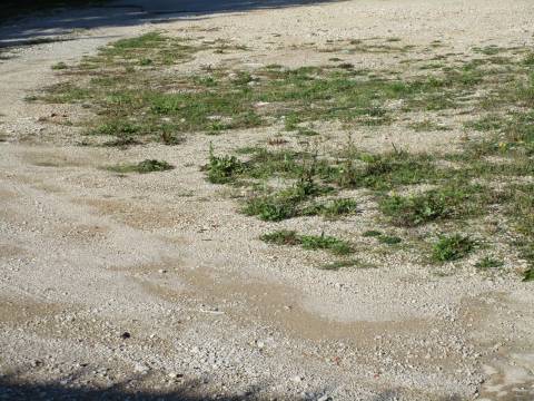 Lands Matulji, 2.153m2
