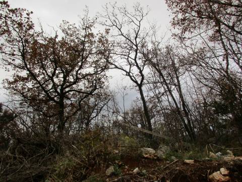 Lands Martinkovac, Rijeka, 801m2