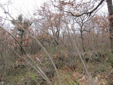 Lands Martinkovac, Rijeka, 801m2