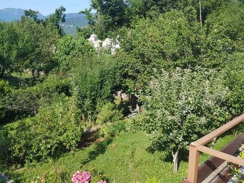 Houses Matulji, 500m2