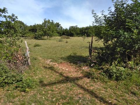 Lands Zoričići, Višnjan, 19.190m2