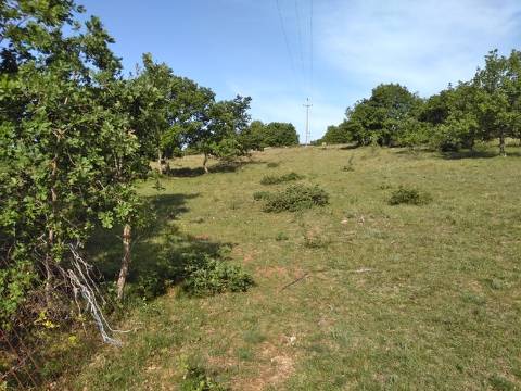 Lands Zoričići, Višnjan, 19.190m2