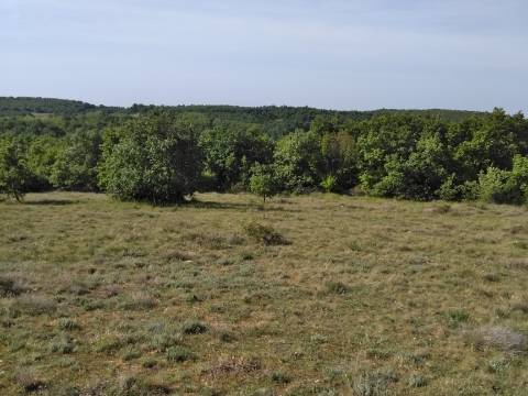 Lands Zoričići, Višnjan, 19.190m2