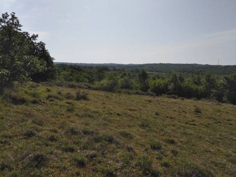 Lands Zoričići, Višnjan, 19.190m2