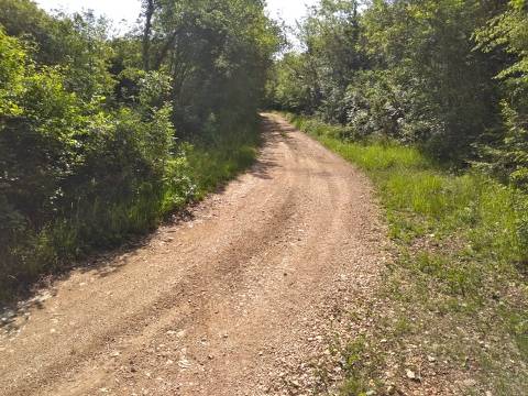 Lands Zoričići, Višnjan, 19.190m2