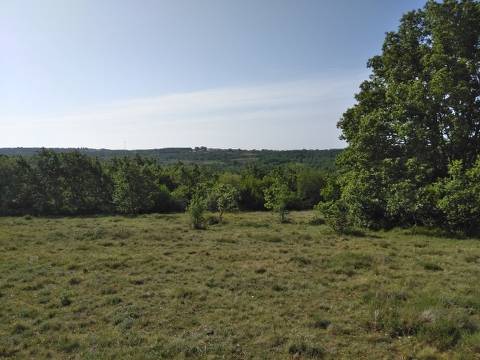Lands Zoričići, Višnjan, 19.190m2