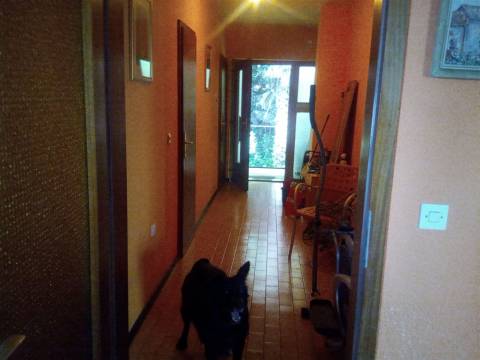 Opatija - Centar, Opatija, 360m2