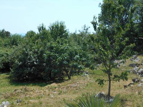SNIŽENA CIJENA!!! POLJANE - Zemljište (započeta gradnja), 2320 m2
